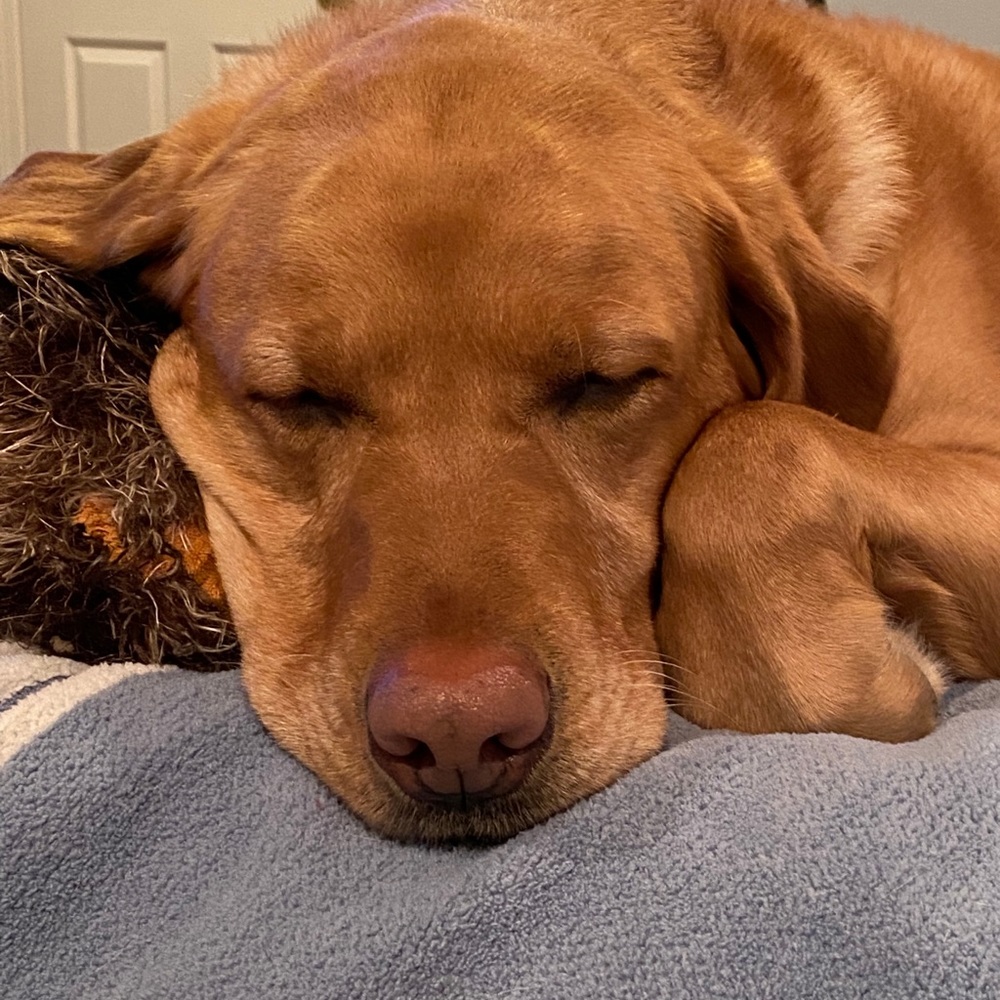 Meet your Posher, Beth